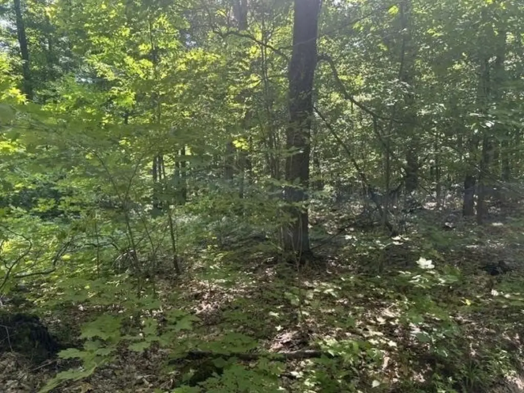 Picture 4