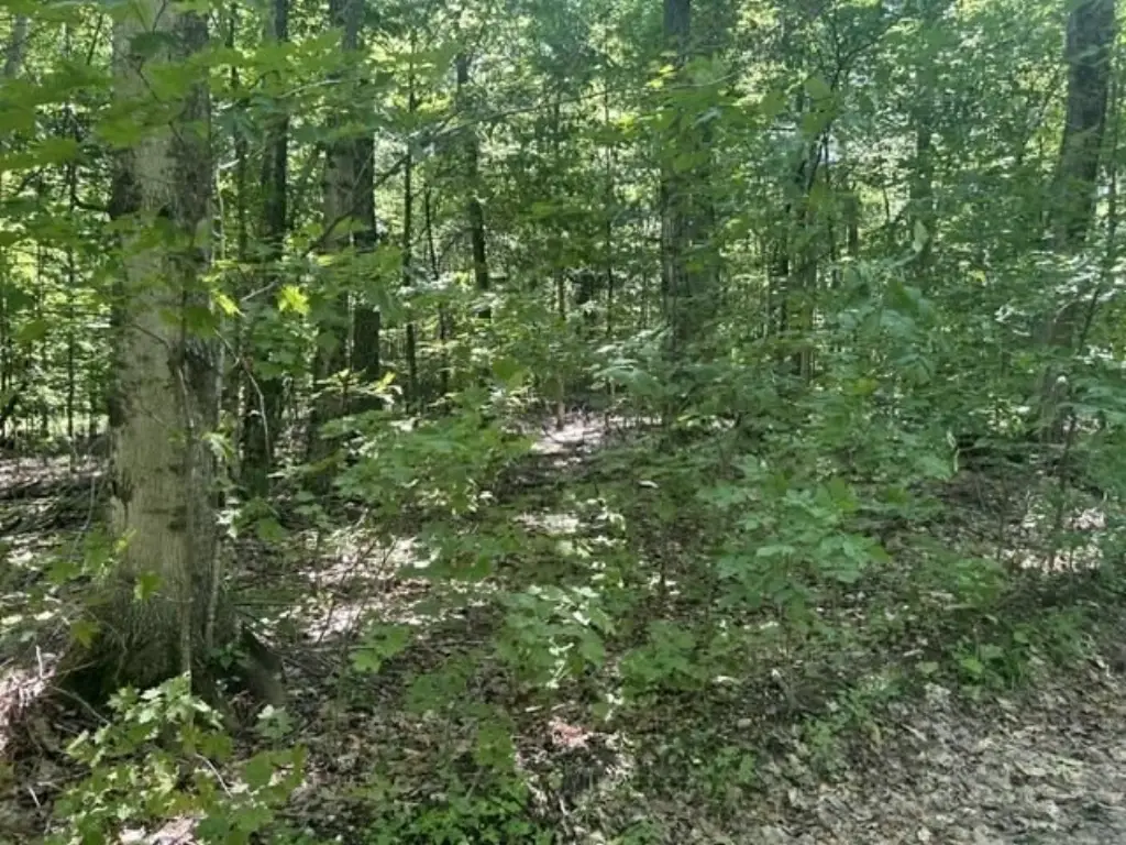 Picture 6