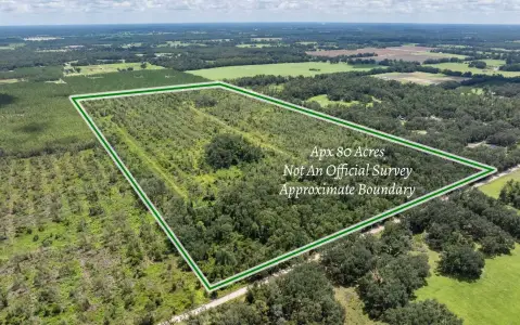 80 Acres in Suwannee County