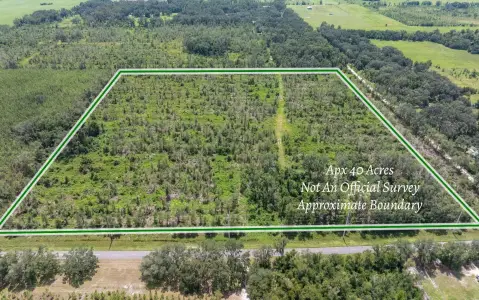 40 Acres in Suwannee County