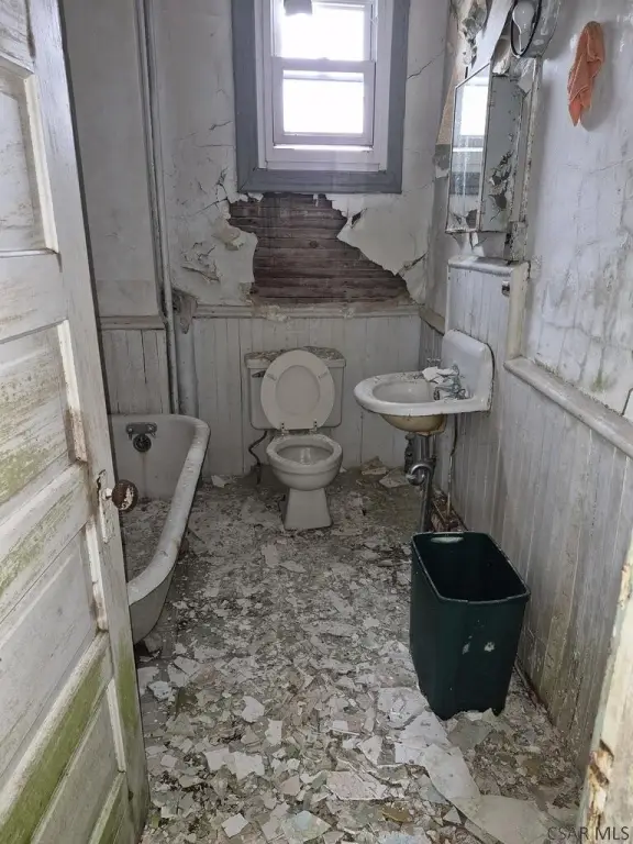 Picture 15