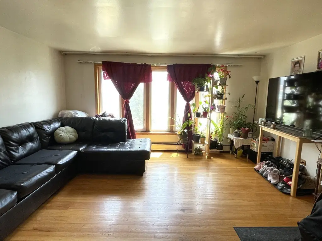Picture 38