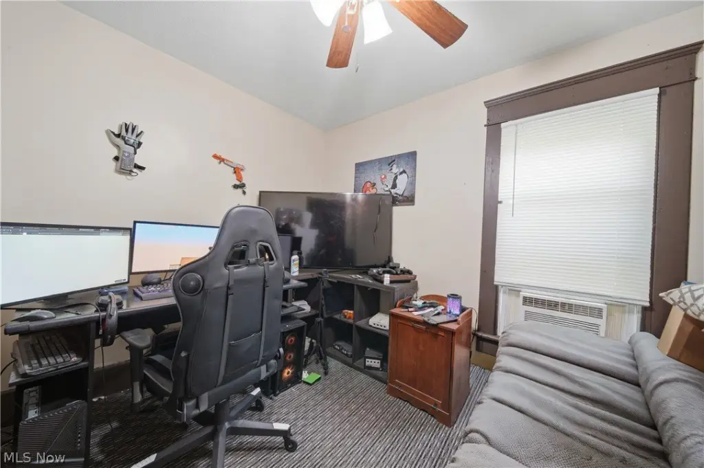 Picture 5