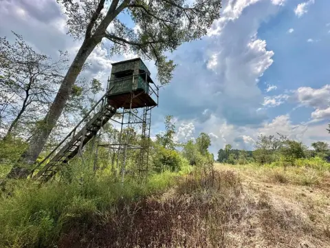 Terry, MS Hunting/Timberland Property