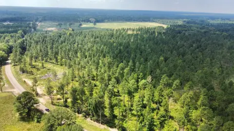 62 Acres Vacant Land