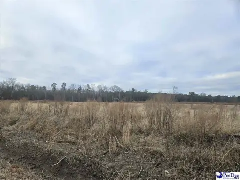 Land Available in Latta, SC