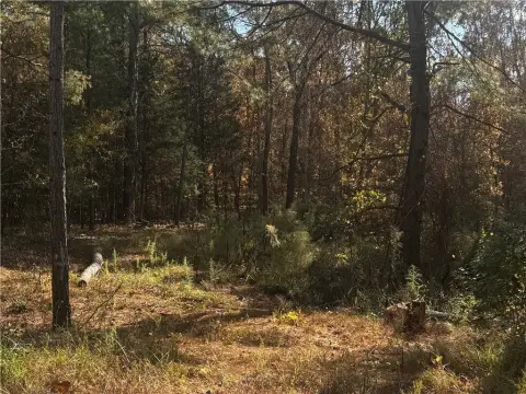 2.06 Acres Gray Court Retreat