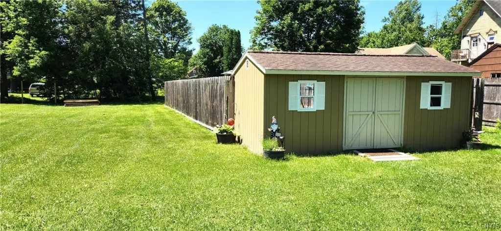 Picture 11