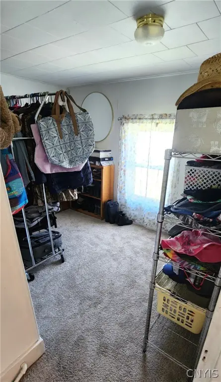 Picture 27