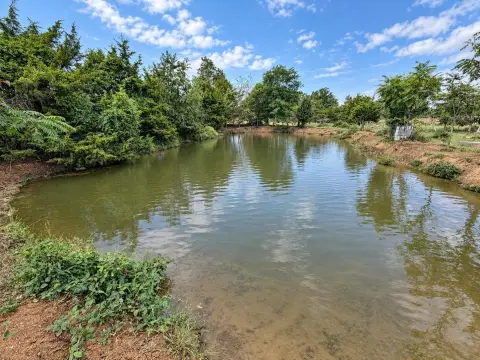 Agricultural Land with Pond