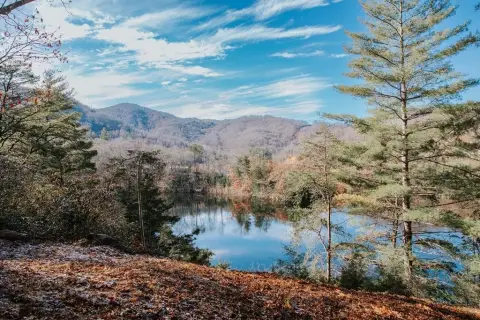 Lakefront Homesite with Boat Dock