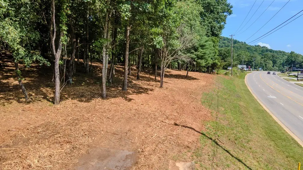 Picture 13