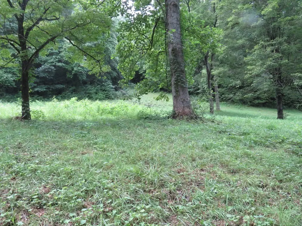 Picture 3