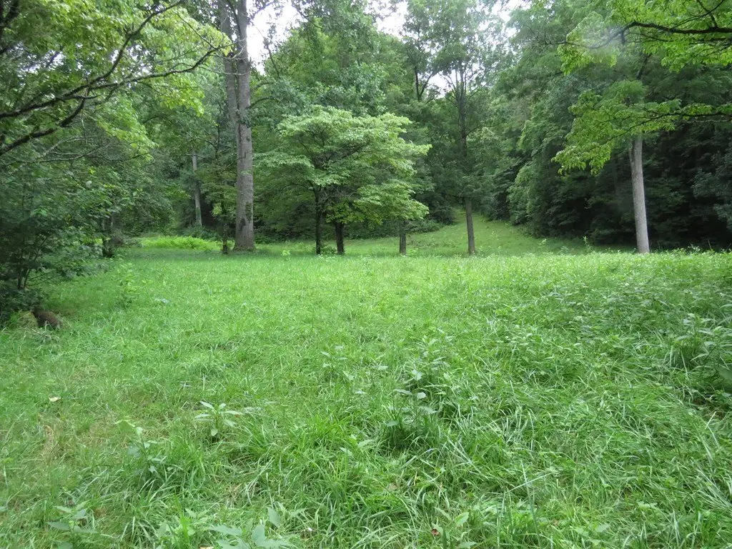 Picture 8