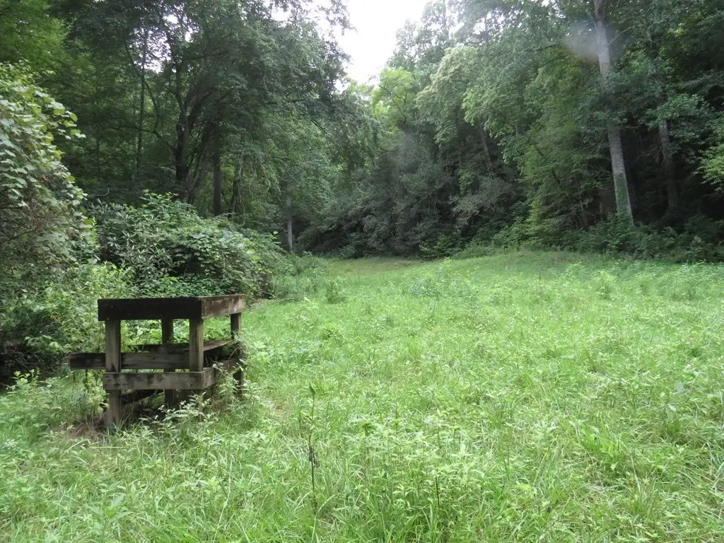 Picture 4