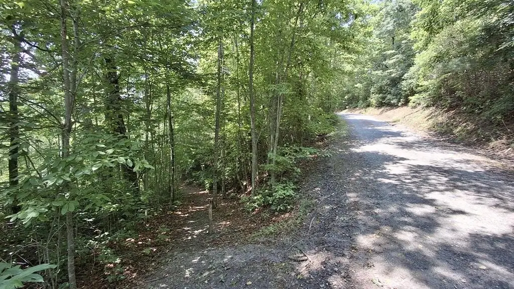 Picture 8