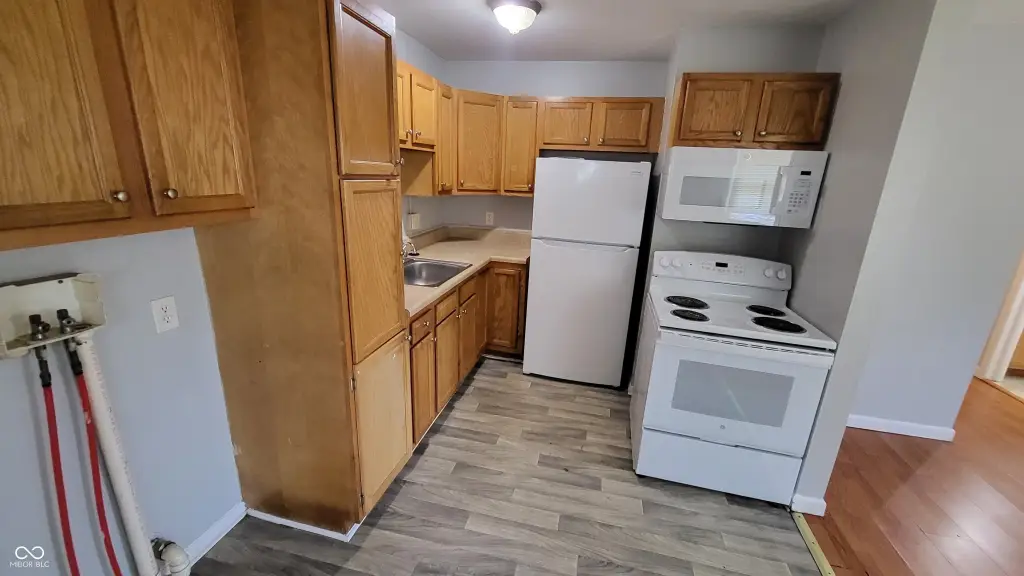 Picture 6
