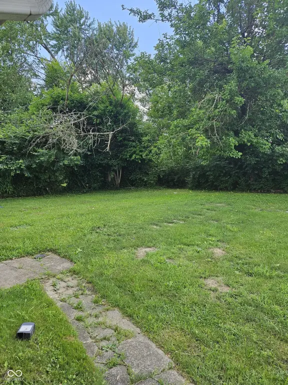 Picture 22