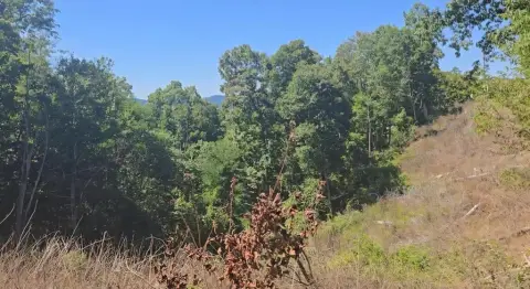 218 Acres Hunting/Recreation Land