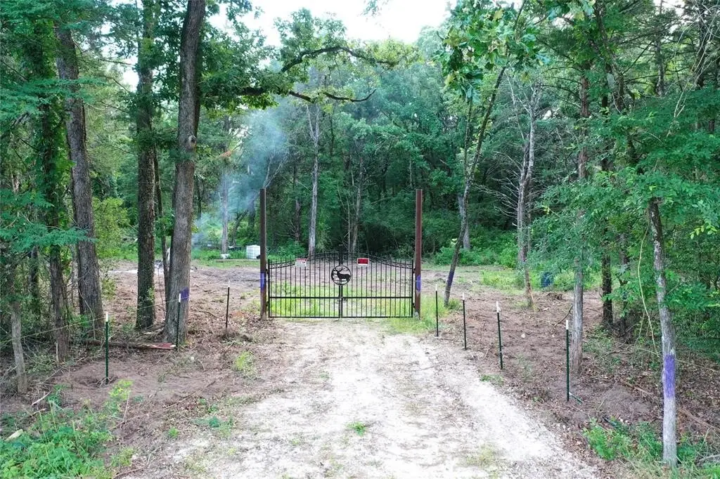 Picture 4