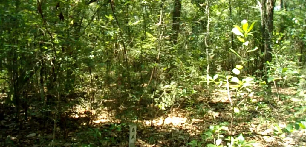 Picture 2