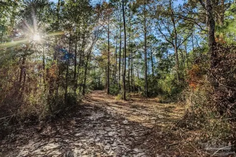 Unrestricted 4-Acre Land Parcel