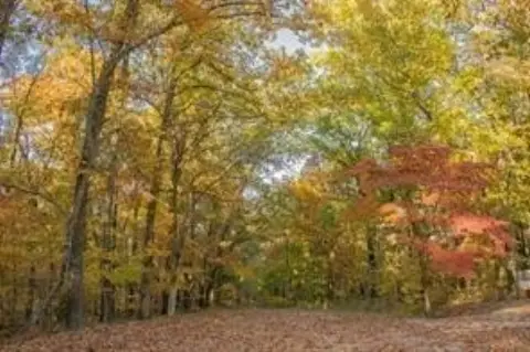 Residential Lot in Bella Vista