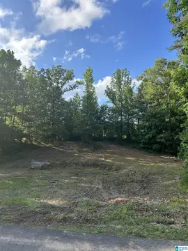 Cleared Land in Rock Mountain