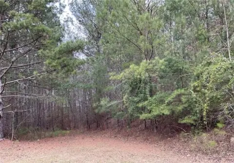 Tallapoosa Land with Development Potential