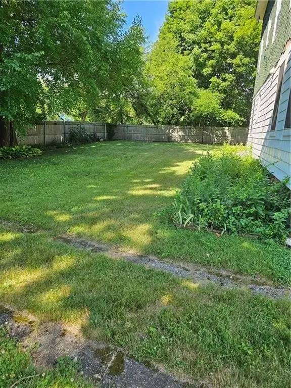 Picture 5