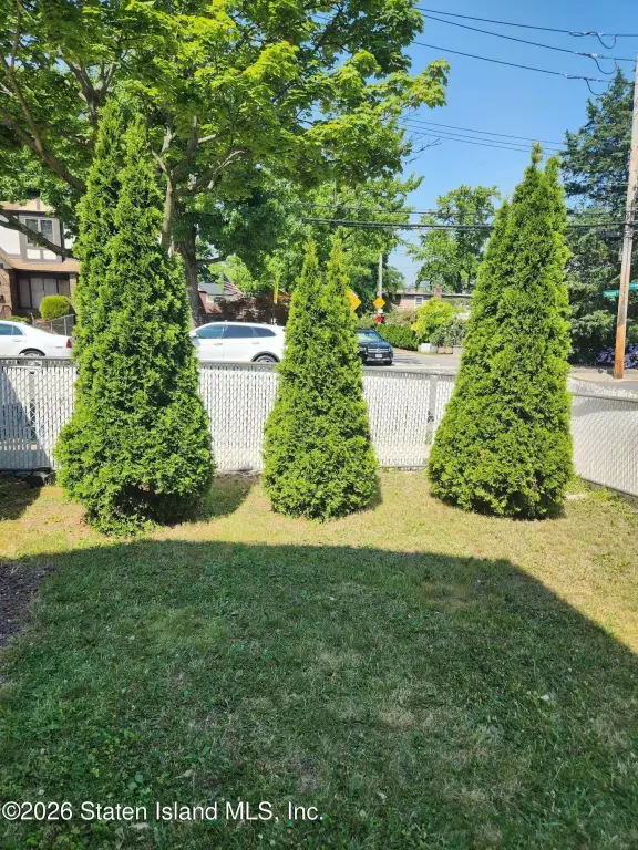 Picture 21