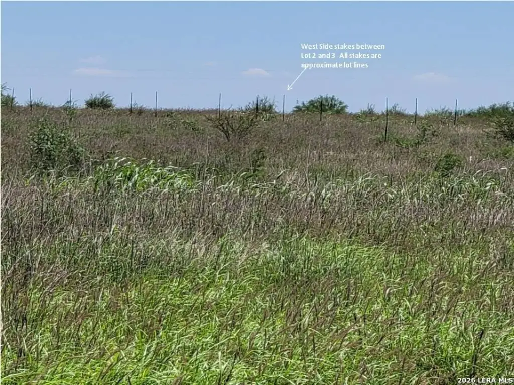 Picture 11