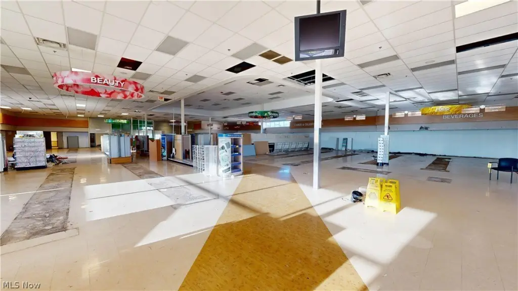 Picture 15