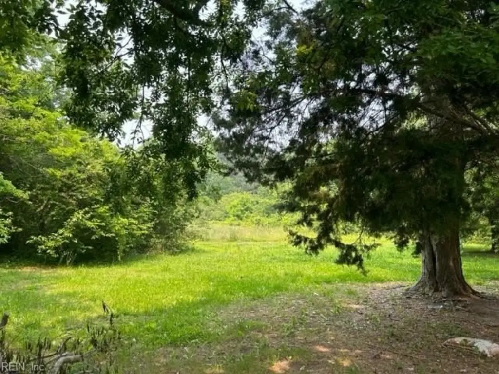 Picture 2