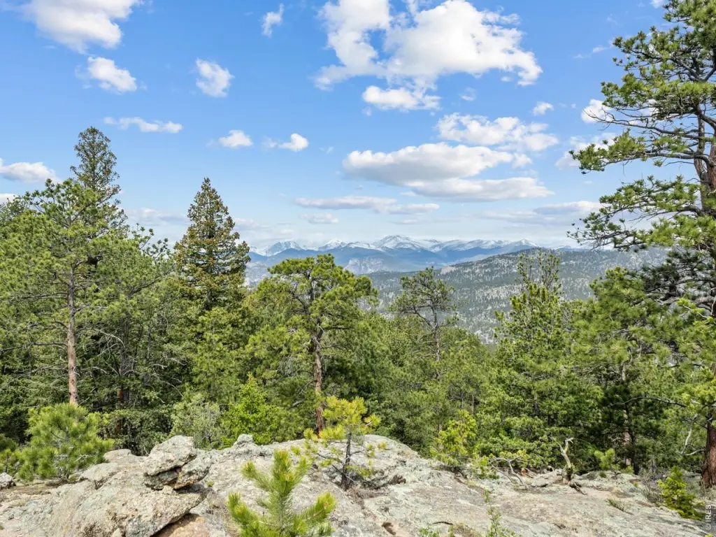 Picture 7