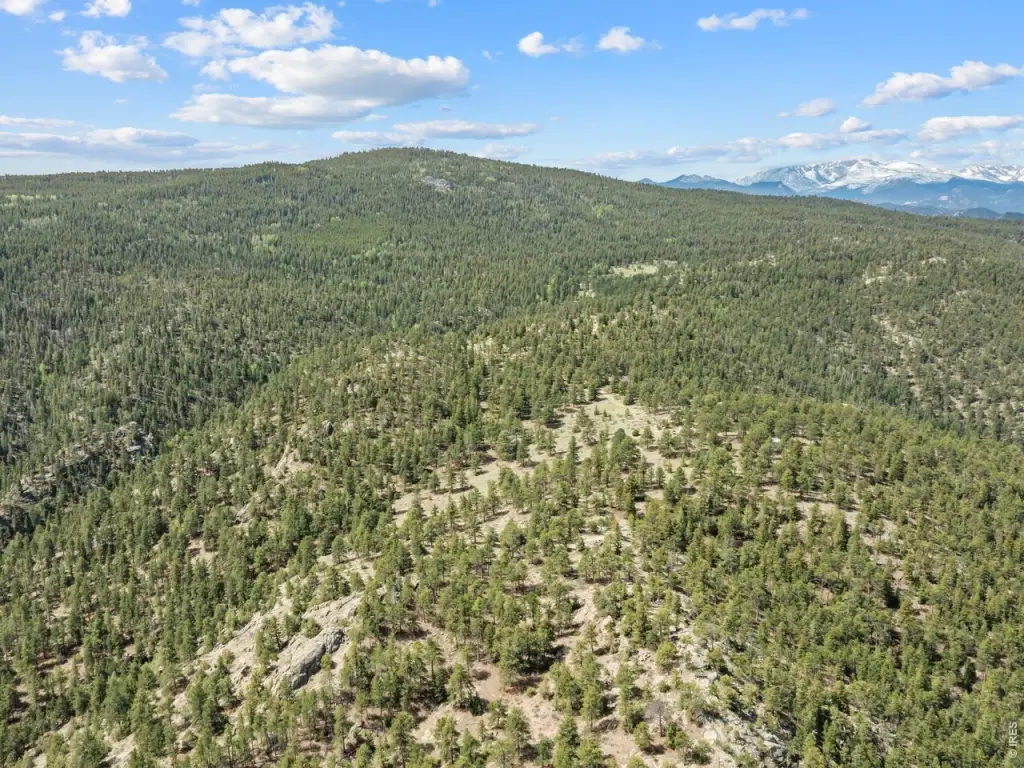Picture 30