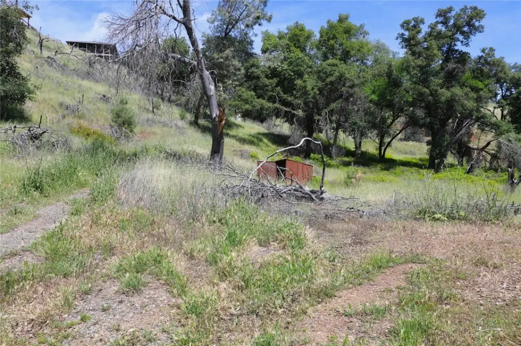 Picture 10