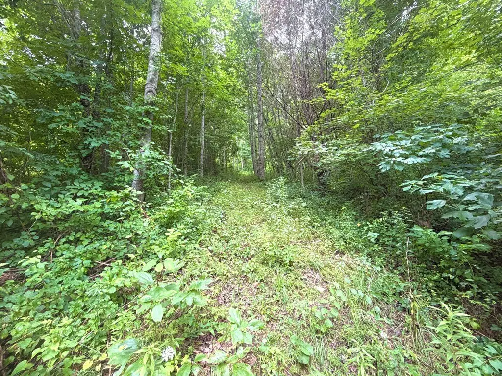 Picture 3