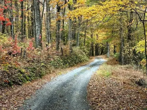 Appalachian Wilderness Hunting and Recreation