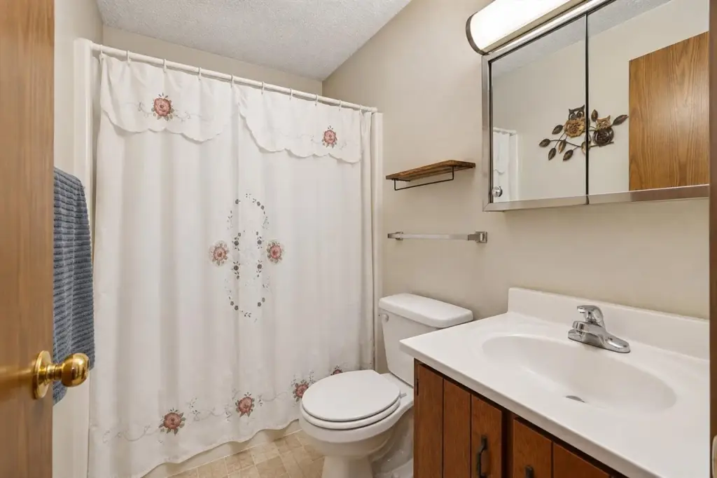 Picture 17