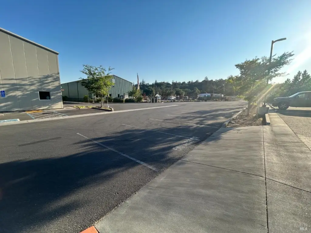 Picture 19