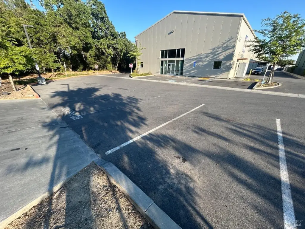 Picture 16