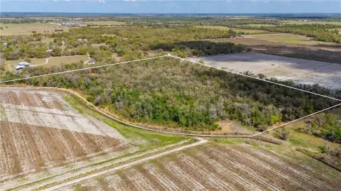 30 Acres of Florida Woodland