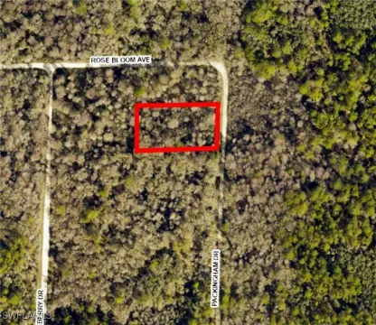 Webster, FL Vacant Land