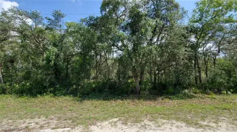 Webster, FL Vacant Lot