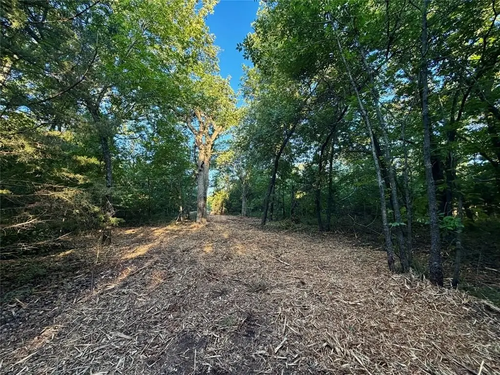 Picture 21