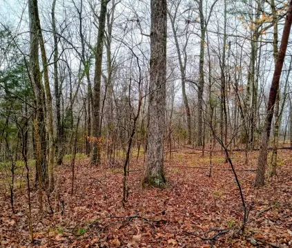 Nolin Lake Vacant Land