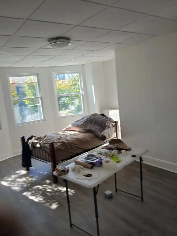 Picture 5