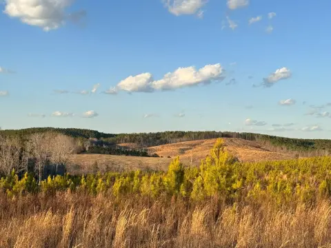 Picturesque Land Overlooking Ranch