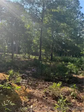 Southern Pines Vacant Land